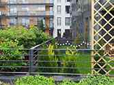 Balustrada stalowa wykonana z czarnej, malowanej proszkowo stali w ogrodzie